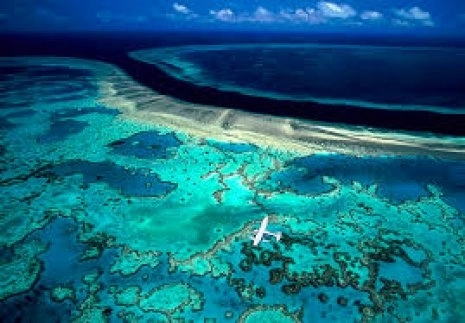 marea-bariera-de-corali-dispare-nu-mai-exista-nicio-sansa-de-a-se-regenera