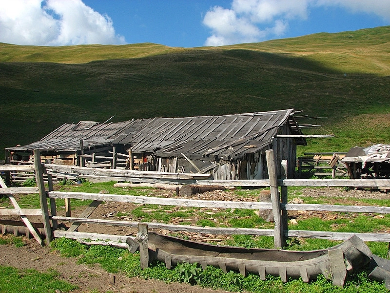 o-fata-de-13-ani-fugita-de-acasa-la-iubitul-de-la-stana