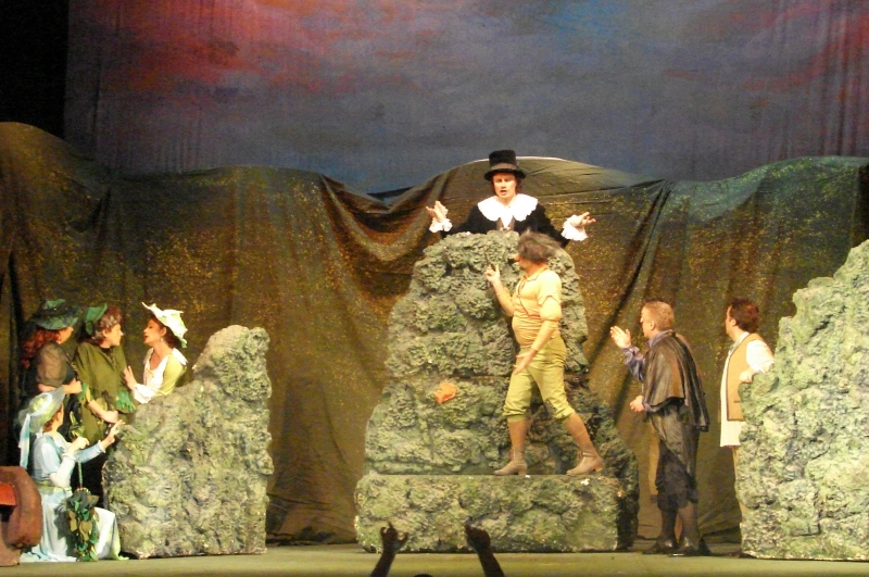 opera-comica-sambata-aceasta-la-brasov