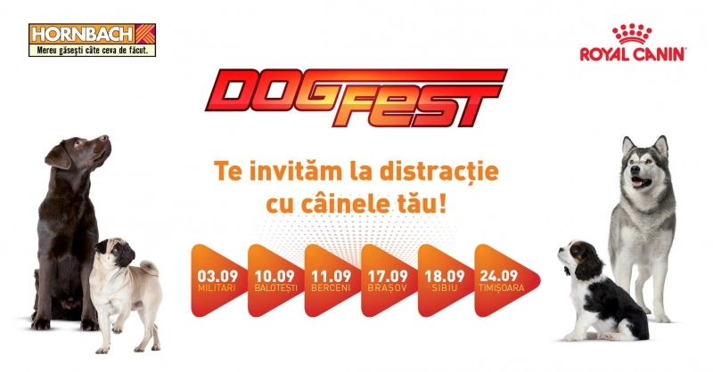 se-da-startul-distractiei-la-dogfest