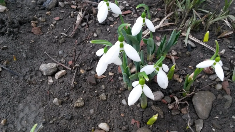 sfidare-ghioceii-nu-tin-cont-de-prognoza-meteo-galerie-foto