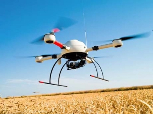 solutie-olandeza-vulturi-antidrona