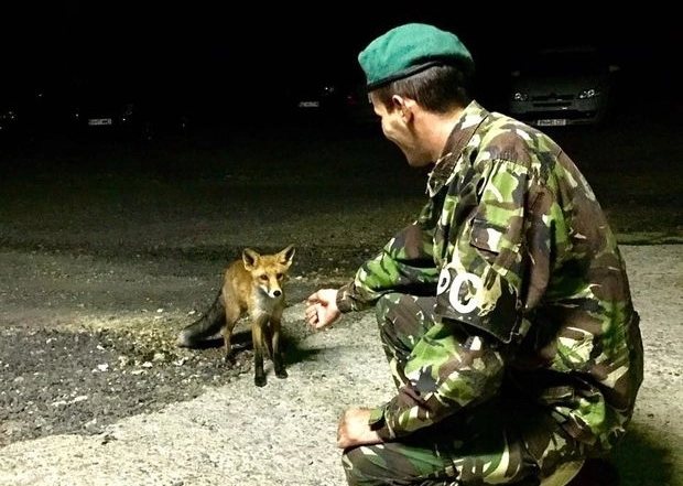 vanatorii-de-munte-sunt-vizitati-de-prieteni-necuvantatori