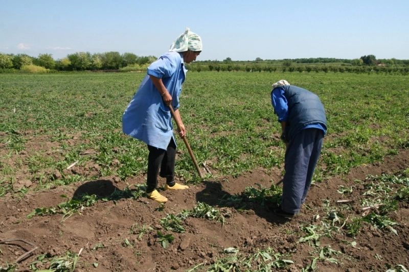 vesti-bune-pentru-agricultori