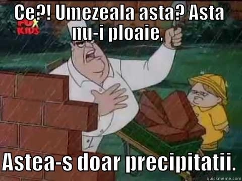 vremea-la-brasov-by-larisa-(12)