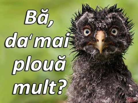 vremea-la-brasov-by-larisa-(15)