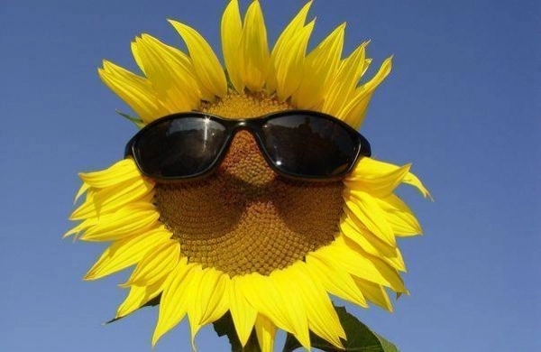 vremea-la-brasov-by-larisa-(19)