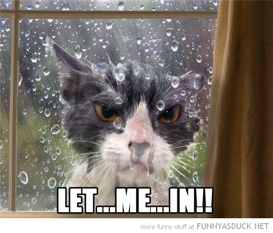 vremea-la-brasov-by-larisa-(20)