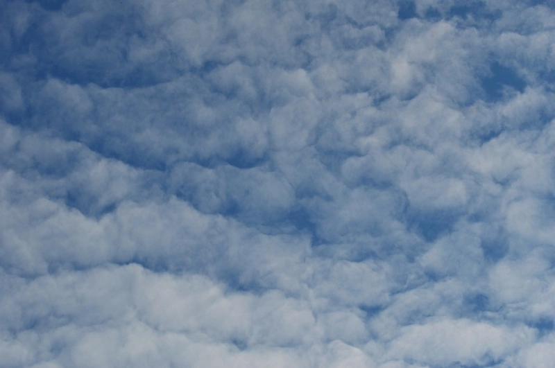 vremea-la-brasov-by-larisa-(25)