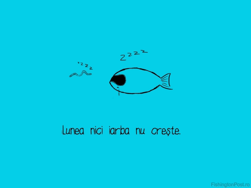 vremea-la-brasov-by-larisa-(3)