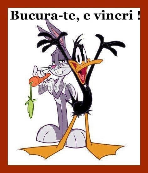 vremea-la-brasov-by-larisa-(32)