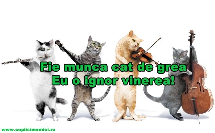 vremea-la-brasov-by-larisa-(49)