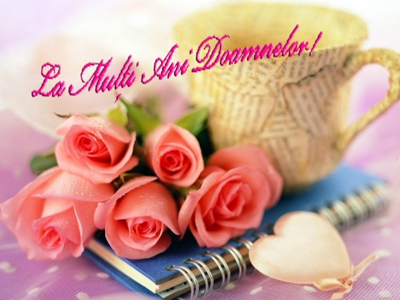 vremea-la-brasov-by-larisa-(6)