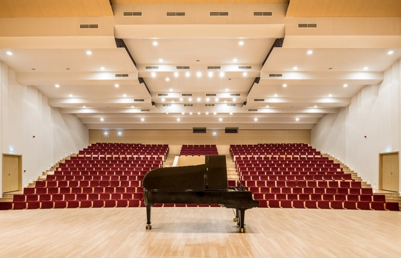 -recital-deosebit-la-sala-patria