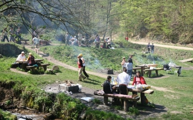 11-tone-de-deseuri-au-fost-stranse-din-zonele-de-agrement-din-municipiu-dupa-minivacanta-