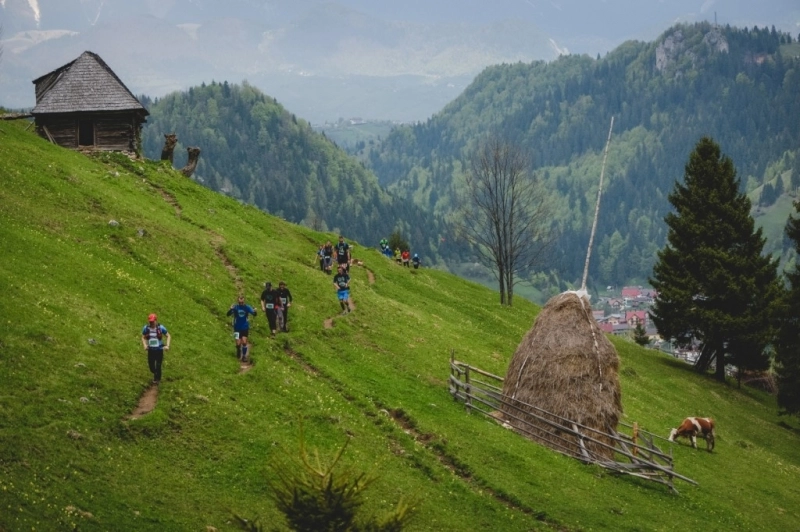 1700-de-sportivi-alearga-sambata-la-ecomarathonul-moieciu-de-sus