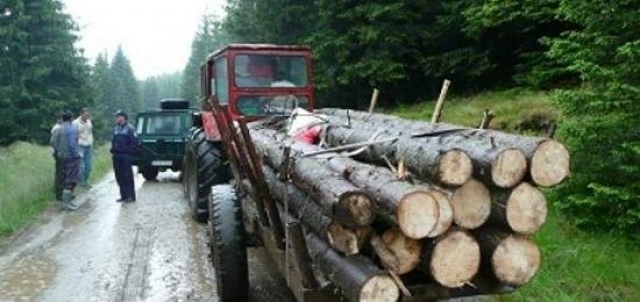 5000-de-lei-amenda-pentru-surplus-de-lemne-
