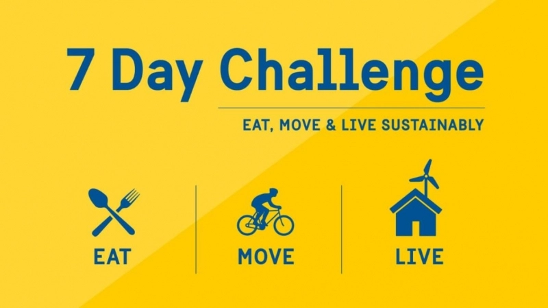 7daychallengeromania