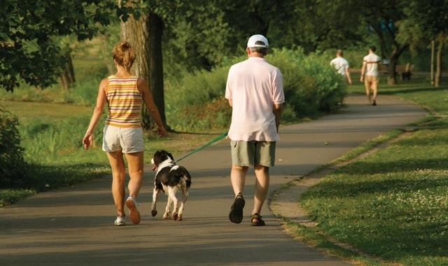 accesul-interzis-cu-animale-de-companie-in-parculetele-din-fagaras