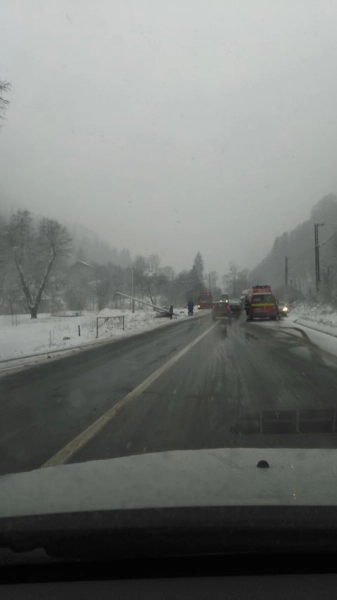 accident-la-timisul-de-jos
