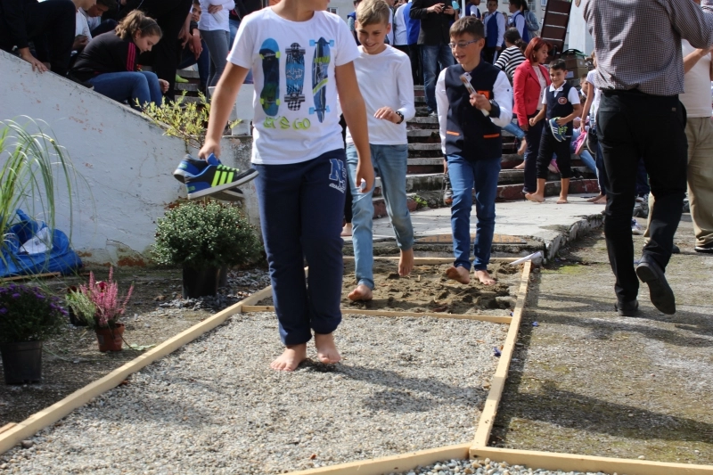 alee-terapeutica-la-fagaras