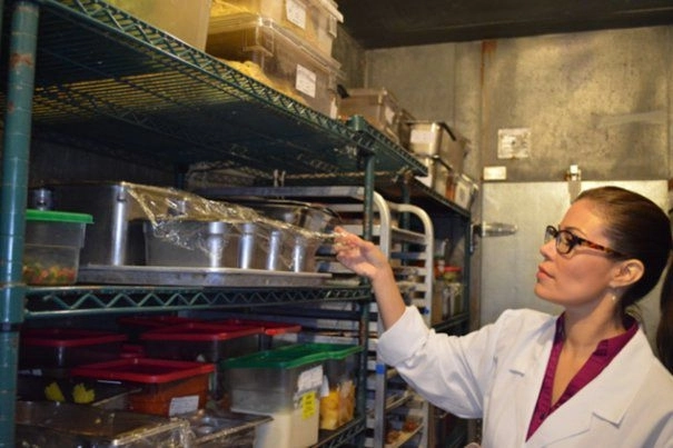 ansvsa-controleaza-comerciantii-si-procesatorii-de-peste