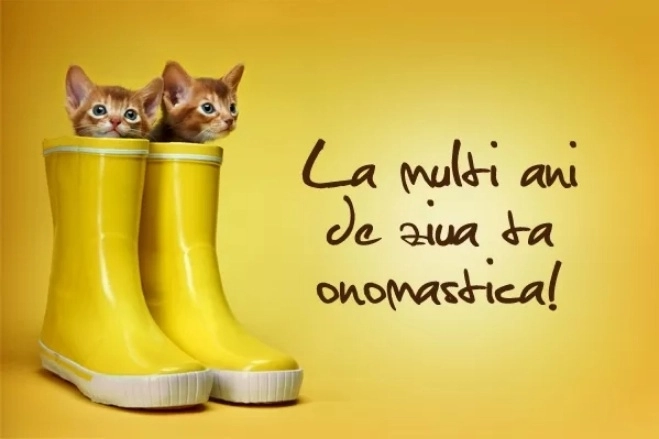 aproape-40000-de-brasoveni-isi-sarbatoresc-onomastica