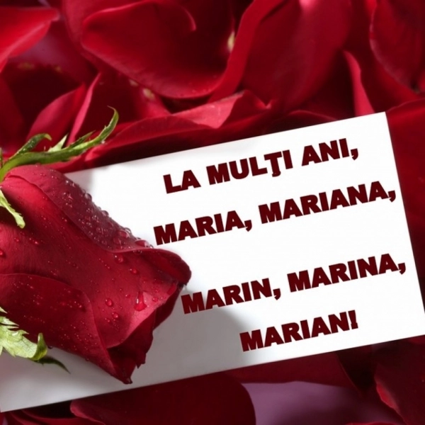 aproape-70000-de-brasoveni-sarbatoresc-astazi