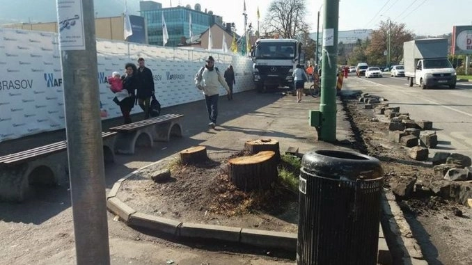 arbori-taiati-in-centrul-civic