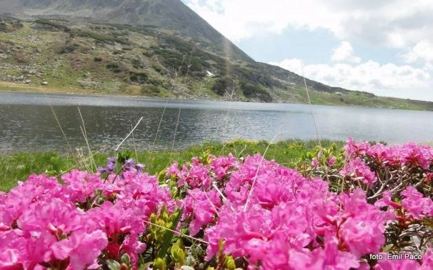 avertisment-din-retezat-este-interzis-scaldatul-in-lacurile-glaciare-din-parcul-national