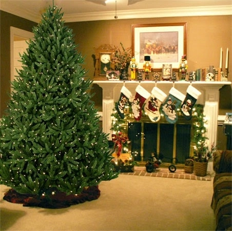 brasovenii-prefera-brazii-artificiali