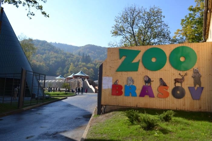 casa-noua-pentru-maimutele-de-la-zoo