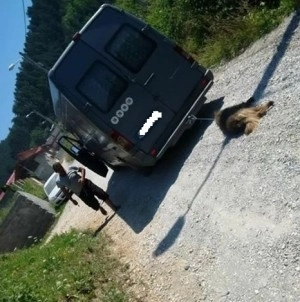 cautat-de-politie-dupa-ce-a-comis-un-fapt-de-cruzime