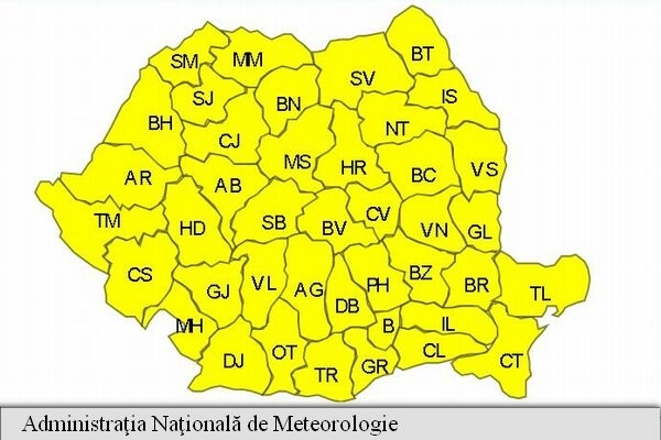 cod-galben-de-ger-la-brasov