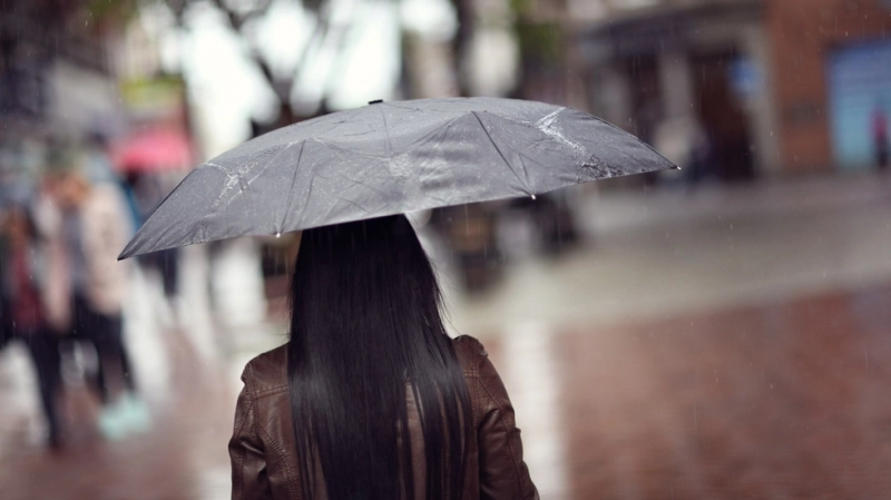 cod-galben-de-ploi-(2)