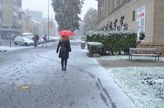 cod-portocaliu-de-ninsori-si-la-brasov