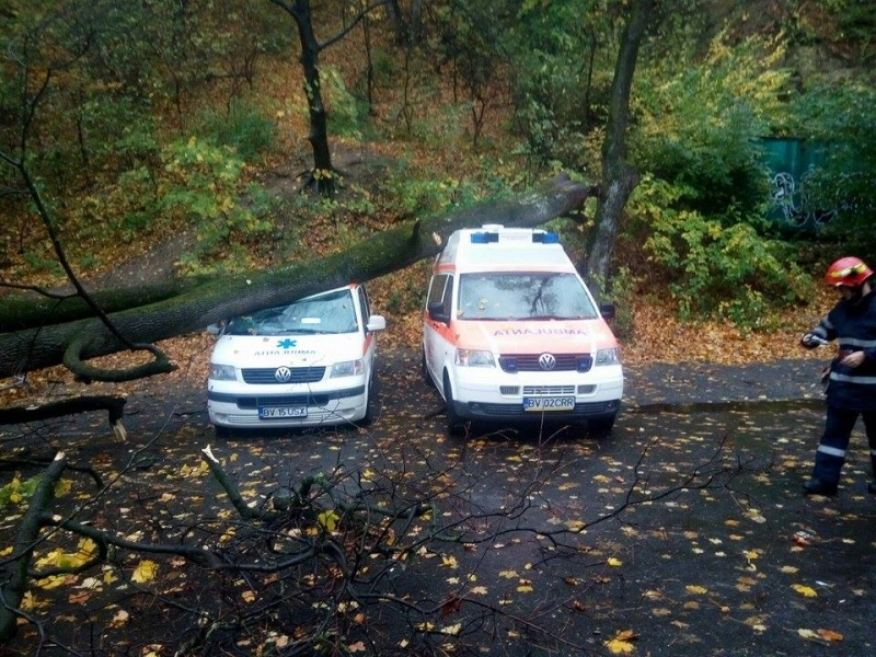 copac-cazut-peste-doua-ambulante-in-fata-crucii-rosii