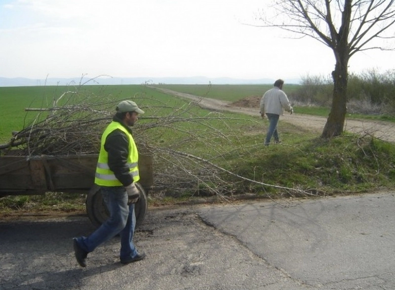 curatenie-de-primavara-la-halchiu-si-satu-nou