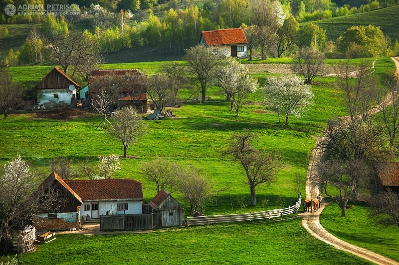 curent-electric-la-casele-de-pe-dealul-mare