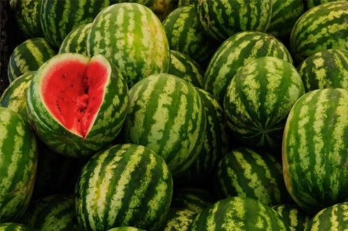 de-la-1-iulie-apar-pepenii-in-locurile-special-amenajate-din-pietele-din-brasov