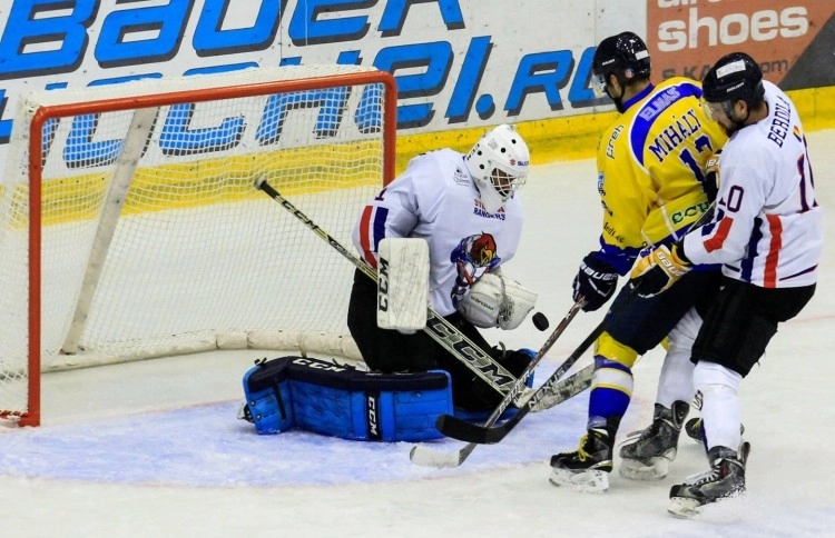 deplasare-in-ungaria-pentru-lupi