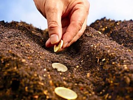 din-16-octombrie-se-vor-plati-subventiile-pentru-anul-agricol-20172018