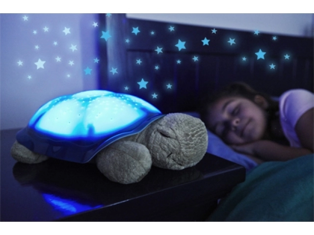 dormind-printre-stele-la-muzeul-casa-muresenilor