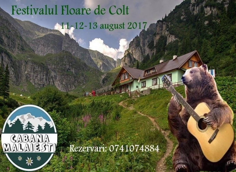festivalul-de-folk-floare-de-colt-trei-zile-in-acorduri-de-chitara-la-cabana-malaiesti