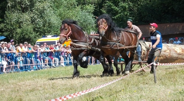 festivalul-national-ecvestru-si-zilele-orasului-la-rasnov