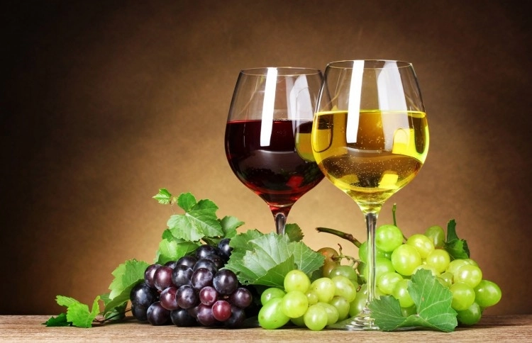 festivalul-vin-la-munte-la-biblioteca-judeteana-din-brasov