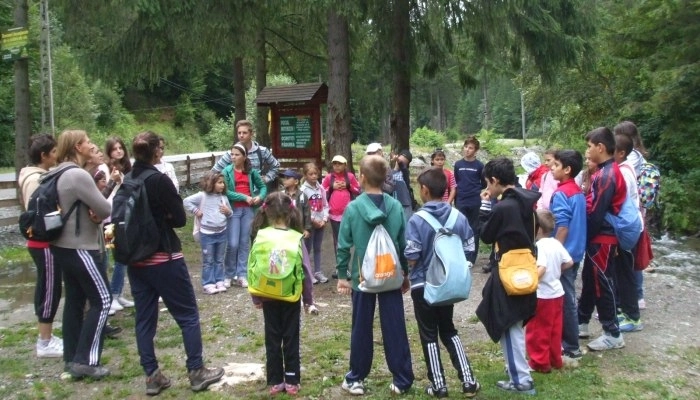 inscrieri-pentru-vacanta-artelor