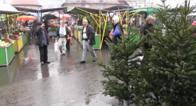 la-brasov-locurile-de-vanzare-de-brazi-din-piete-nu-sunt-ocupate