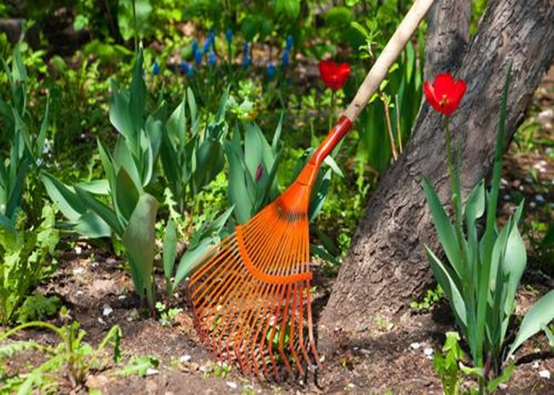 la-sacele-a-inceput-saptamana-curateniei-de-primavara