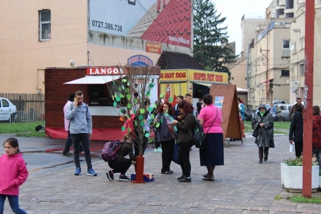 liceenii-fagaraseni-au-creat-copacul-mobilitatii